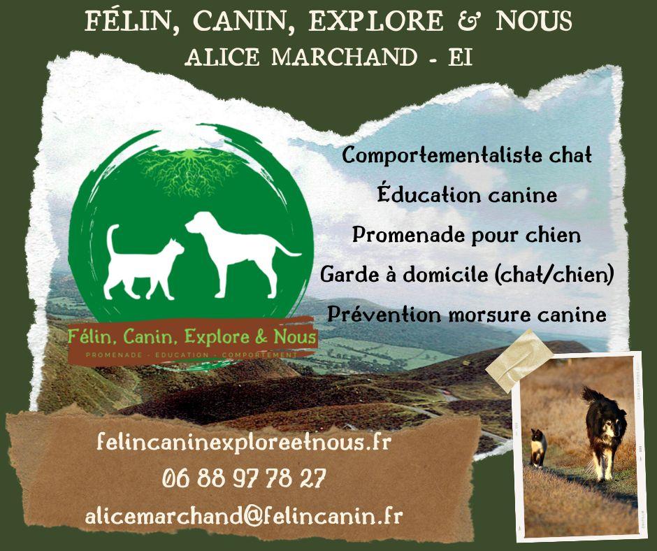 Accueil Félin, Canin, Explore et Nous — free download