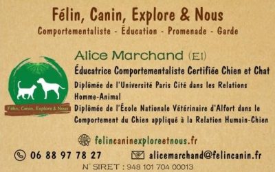 felin-canin-explore-et-nous-educateur-comportementaliste-chat-chien-alice-marchand-carte-de- visite